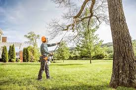 Best Storm Damage Tree Cleanup  in Tularosa, NM